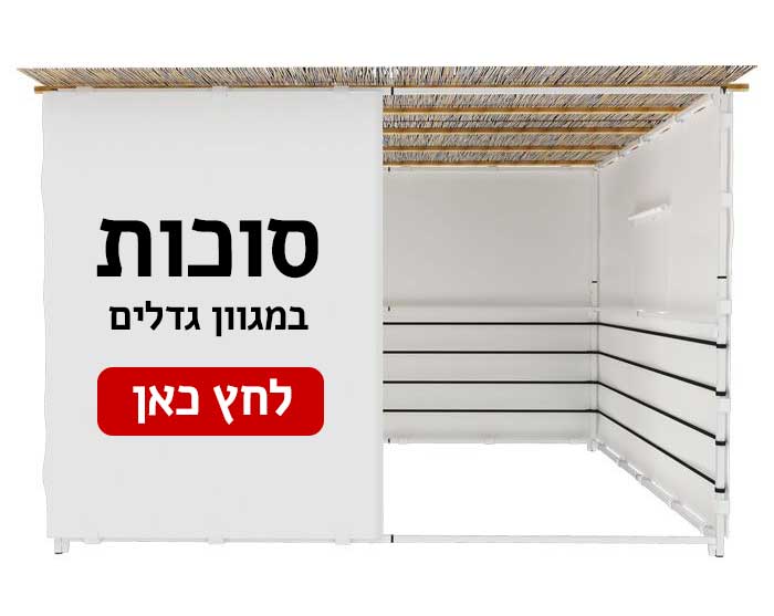 סוכות